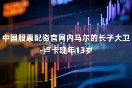 中国股票配资官网内马尔的长子大卫-卢卡现年13岁