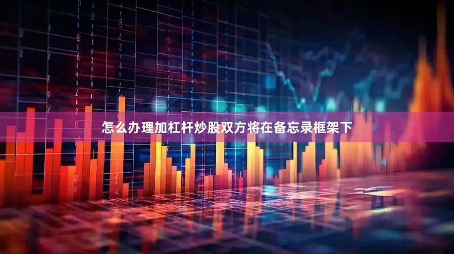 怎么办理加杠杆炒股双方将在备忘录框架下