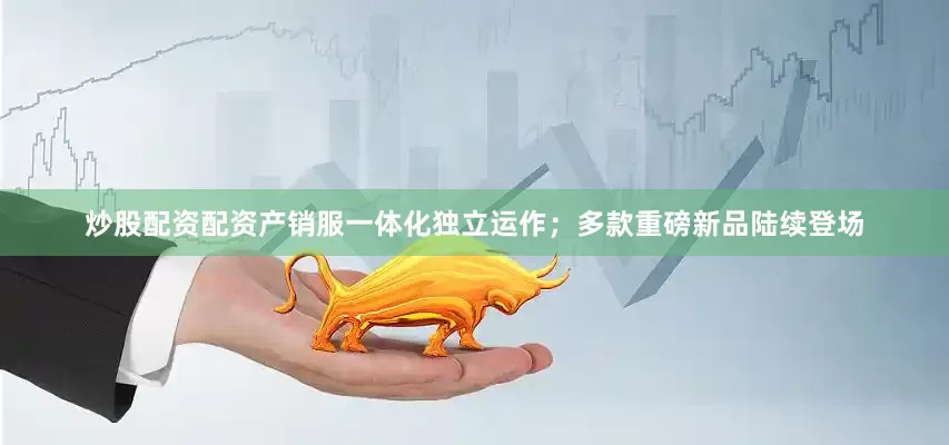 炒股配资配资产销服一体化独立运作；多款重磅新品陆续登场