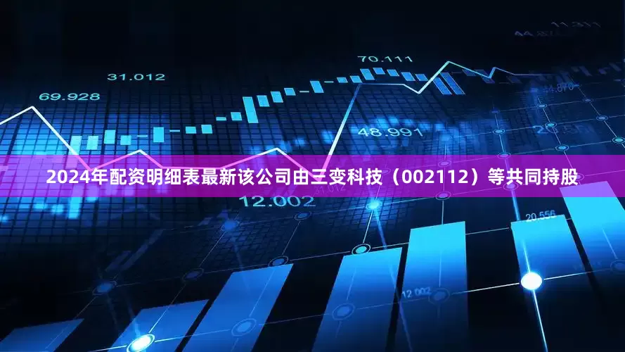 2024年配资明细表最新该公司由三变科技（002112）等共同持股
