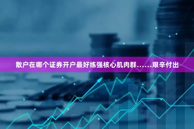 散户在哪个证券开户最好练强核心肌肉群……艰辛付出