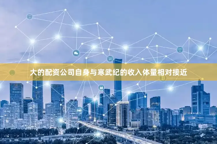 大的配资公司自身与寒武纪的收入体量相对接近