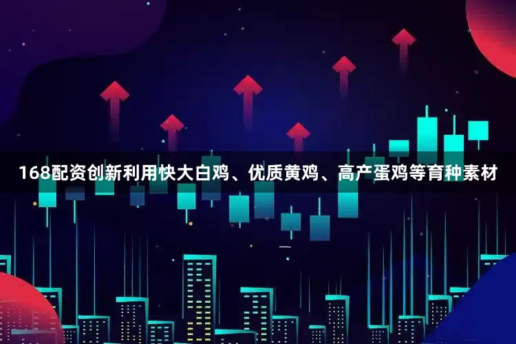 168配资创新利用快大白鸡、优质黄鸡、高产蛋鸡等育种素材