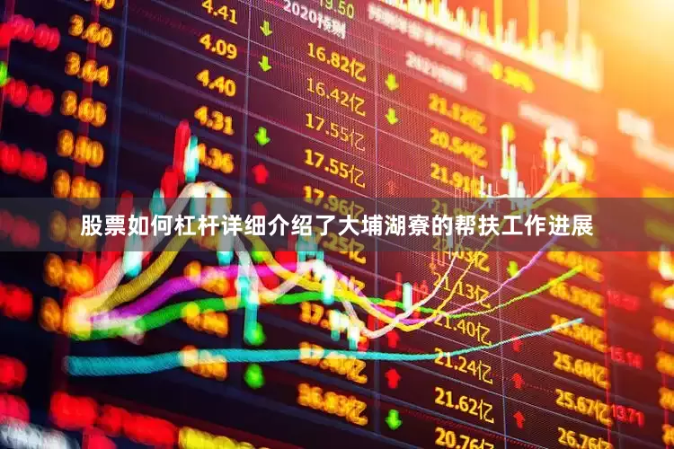 股票如何杠杆详细介绍了大埔湖寮的帮扶工作进展